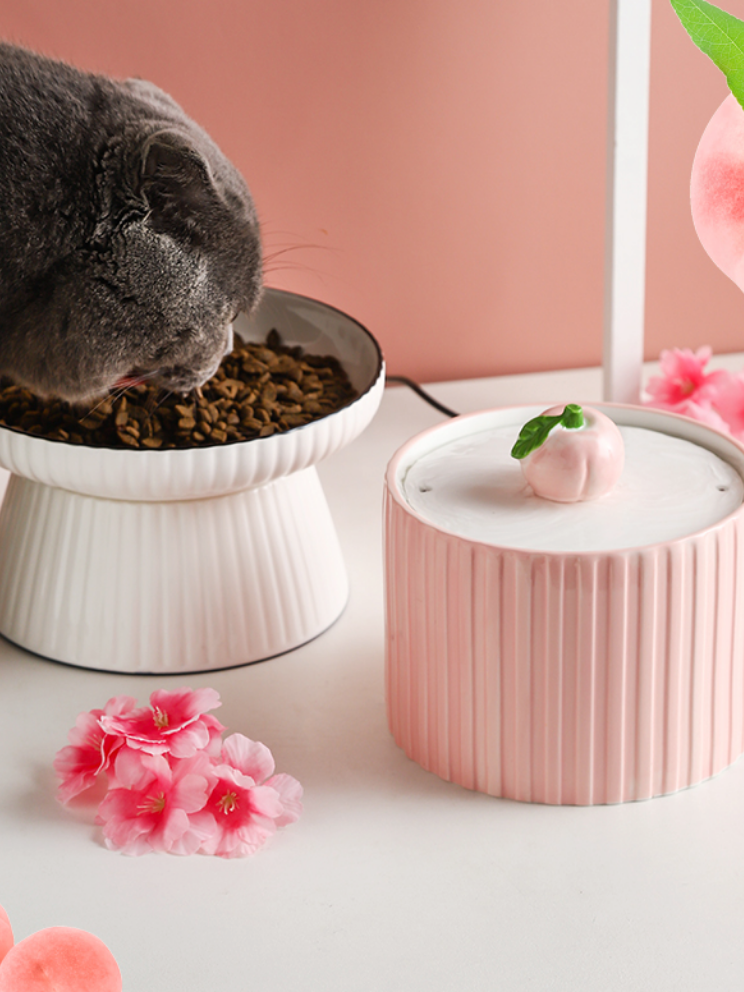 PeachyPaws | Peach Water Dispenser