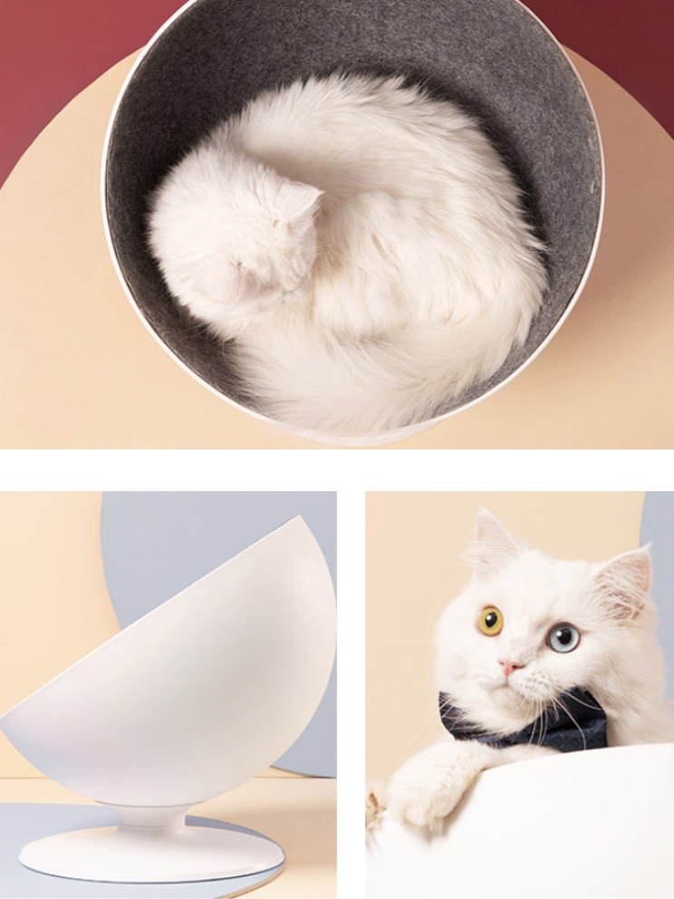 Celebrity style rotating cat bed
