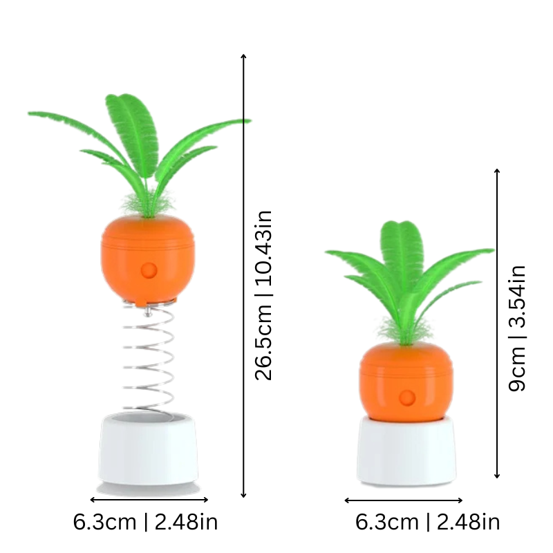 BounceNibble | Interactive Spring Toy