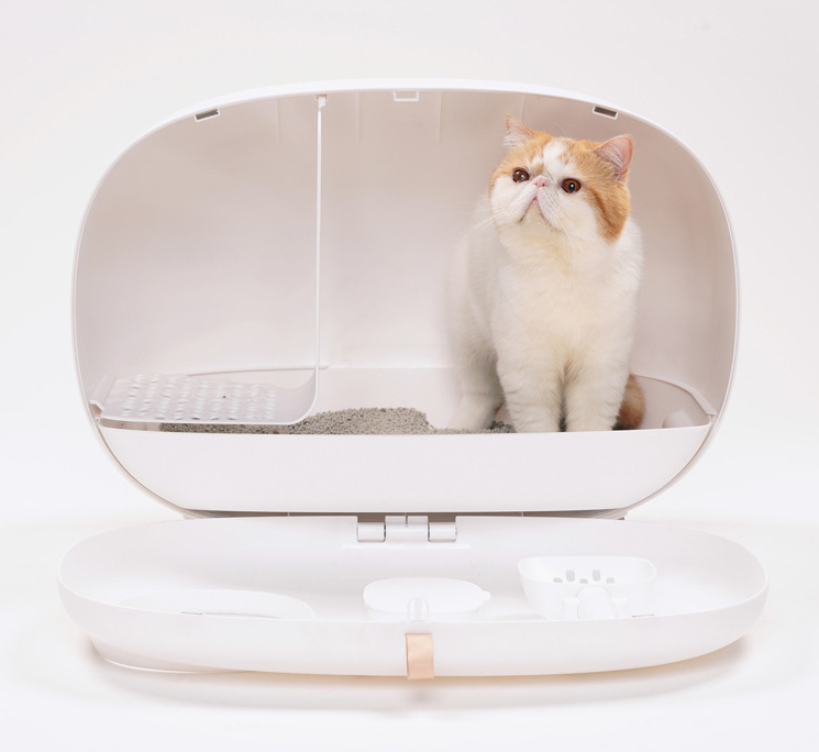 Contempora – The Modern Cat Haven