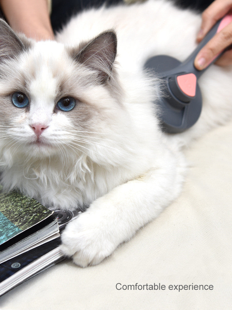 Self-Cleaning Pet Brush with Massages | Brush for Grooming