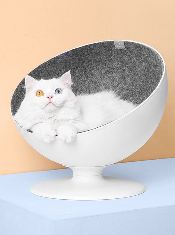 Celebrity style rotating cat bed