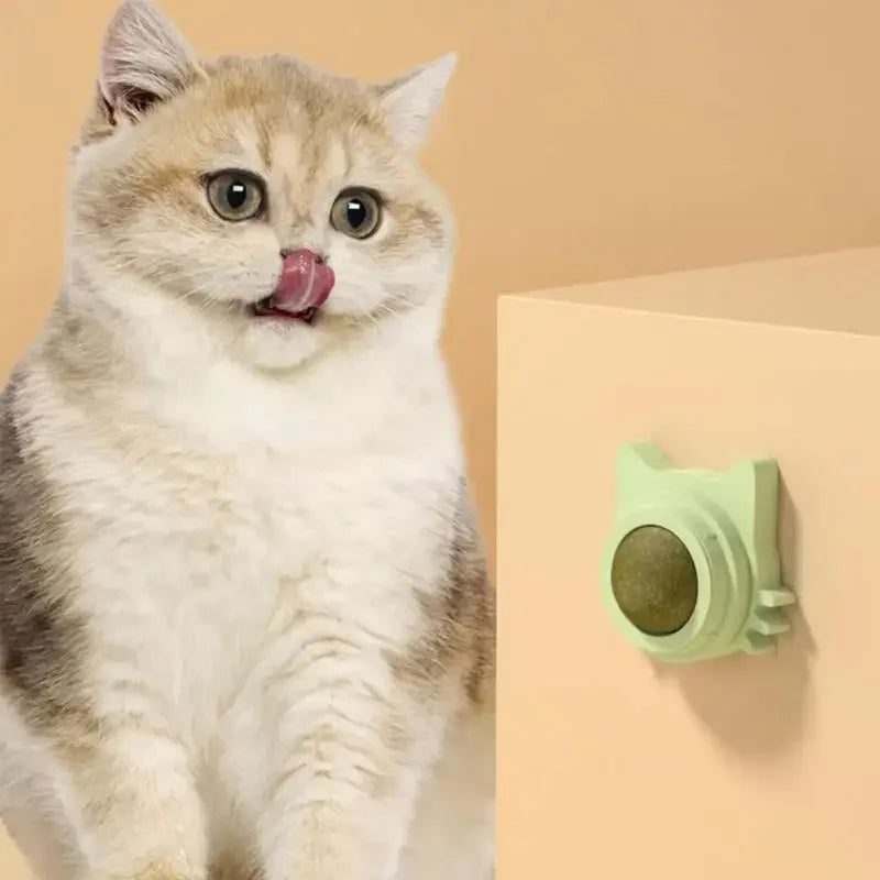 Spinip | Catnip Ball