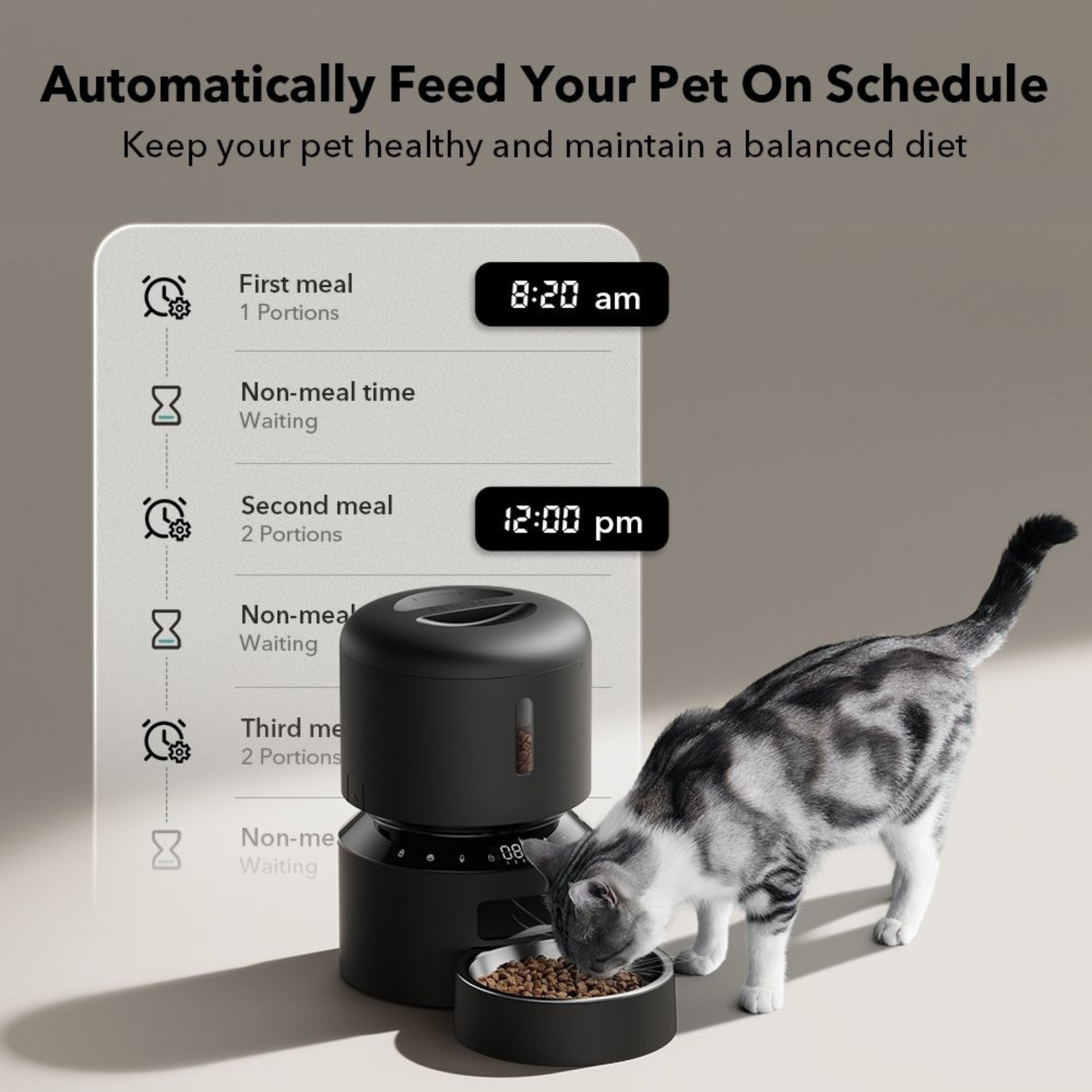 Nourrish | Automatic Cat Feeder