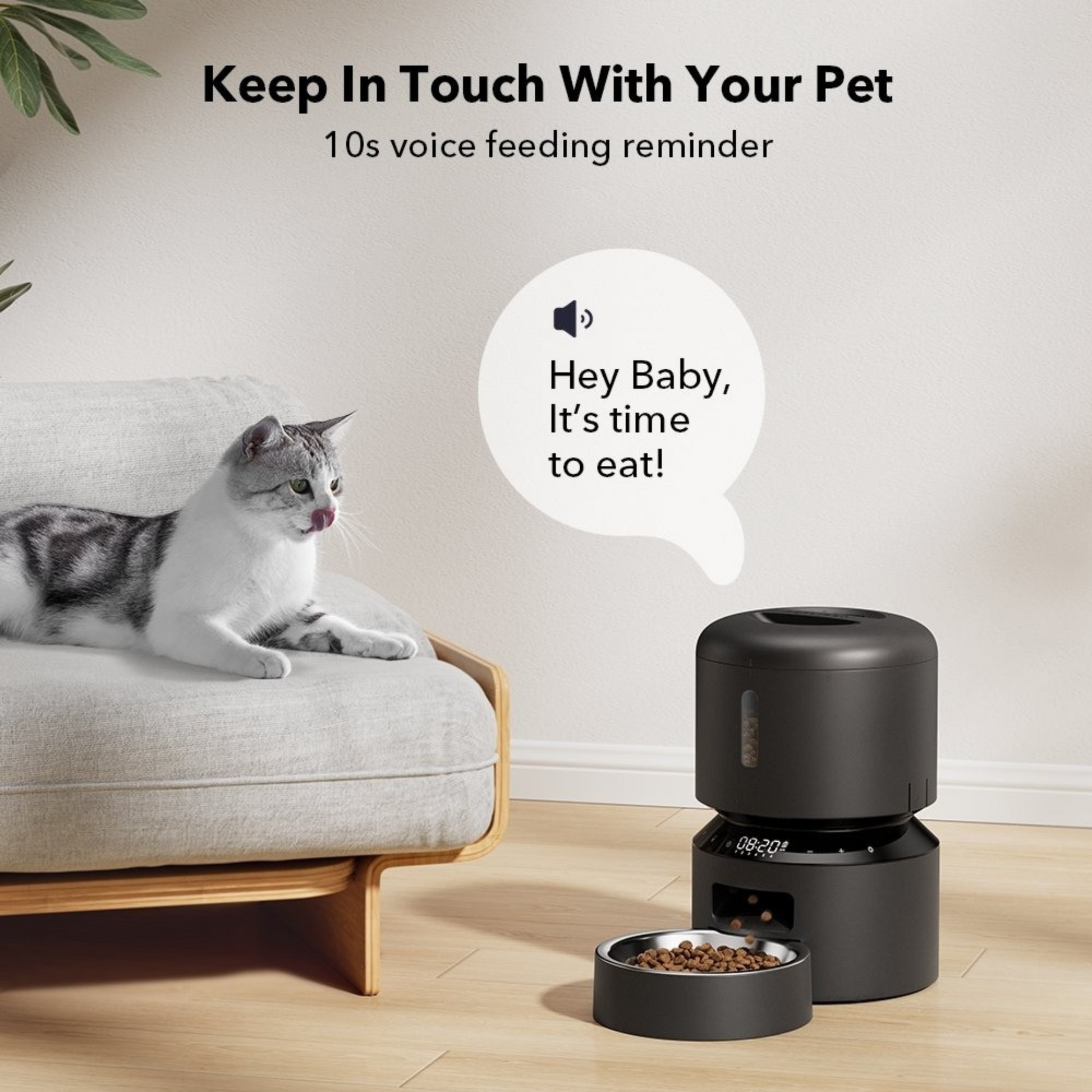 Nourrish | Automatic Cat Feeder