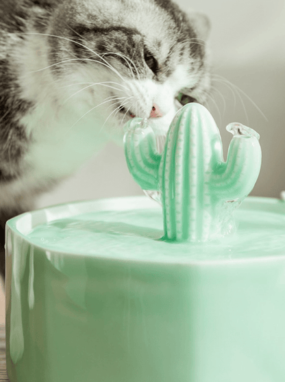 AriZona | Super Water Dispenser - 