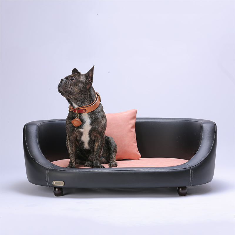 CloudNest All-Season Cushion Bed