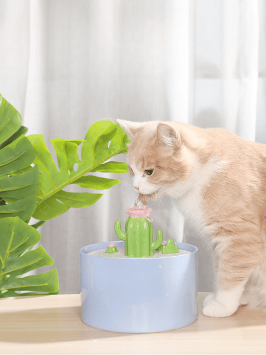 CactoFlow | Cactus Water Dispenser - 