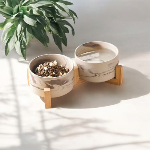 Carrera | Cat Bowl - 