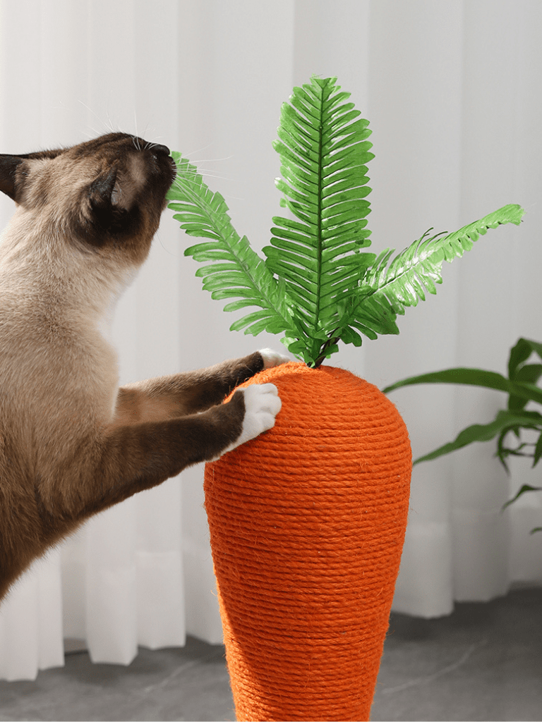 CarrotClaw | Cat Scratcher - 