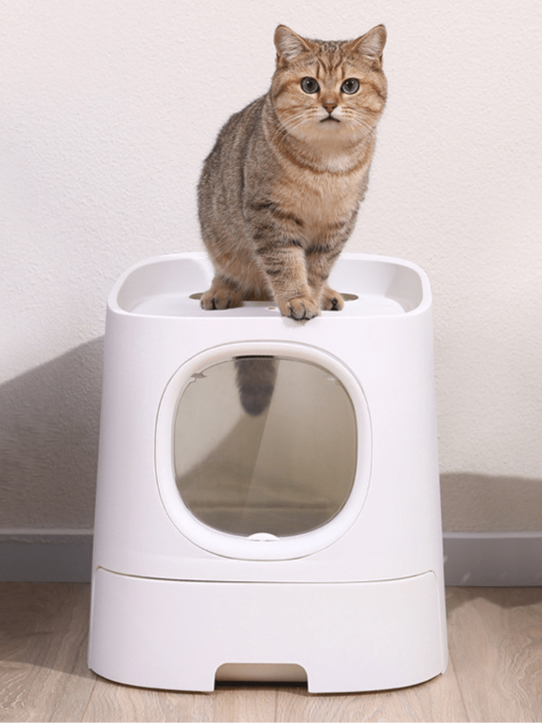 Catraa | MoSplash - proof cat toilet - 