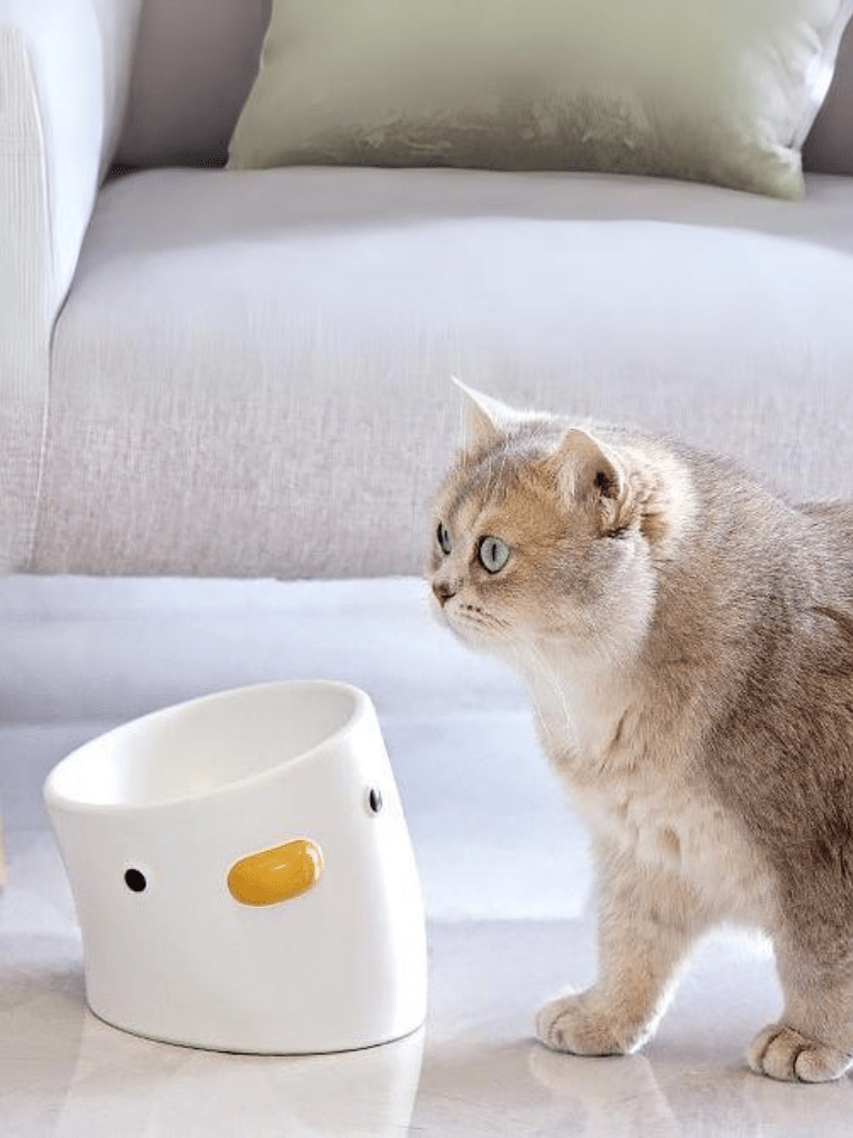 DuoDuck | Food & Water Bowl - 