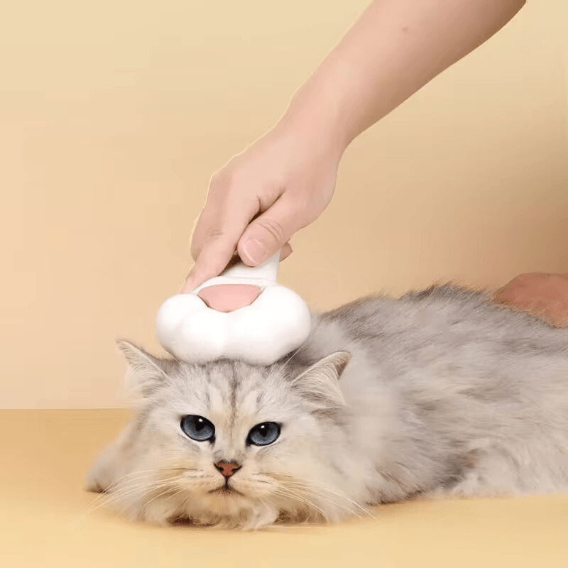 FurEase | Cat Brush - 