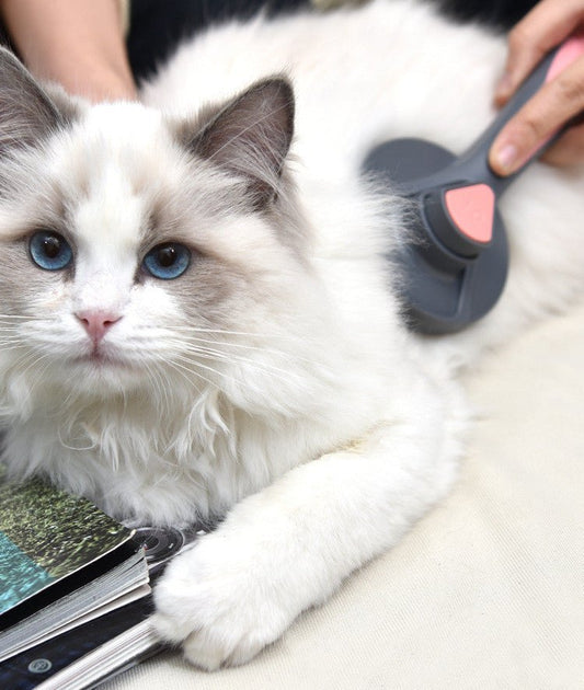 FurNova | Self - Cleaning Massage Pet Brush - 
