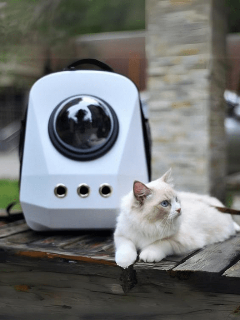 JetPet | Carry Case - 