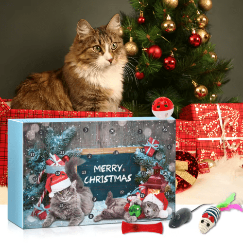 Jingle Paws | Advent Calender - 