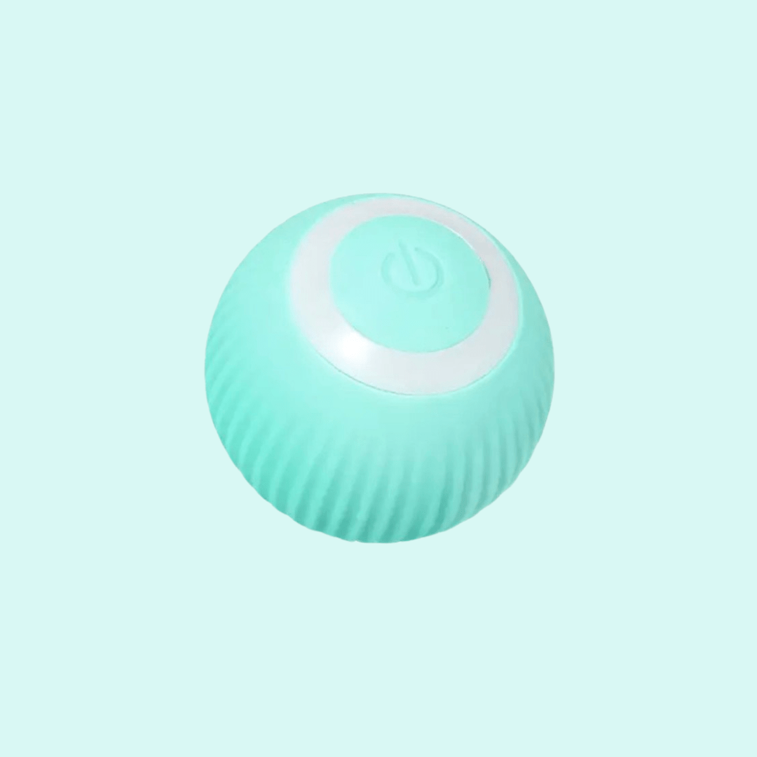Loopy | Interactive Smart Cat Ball - 