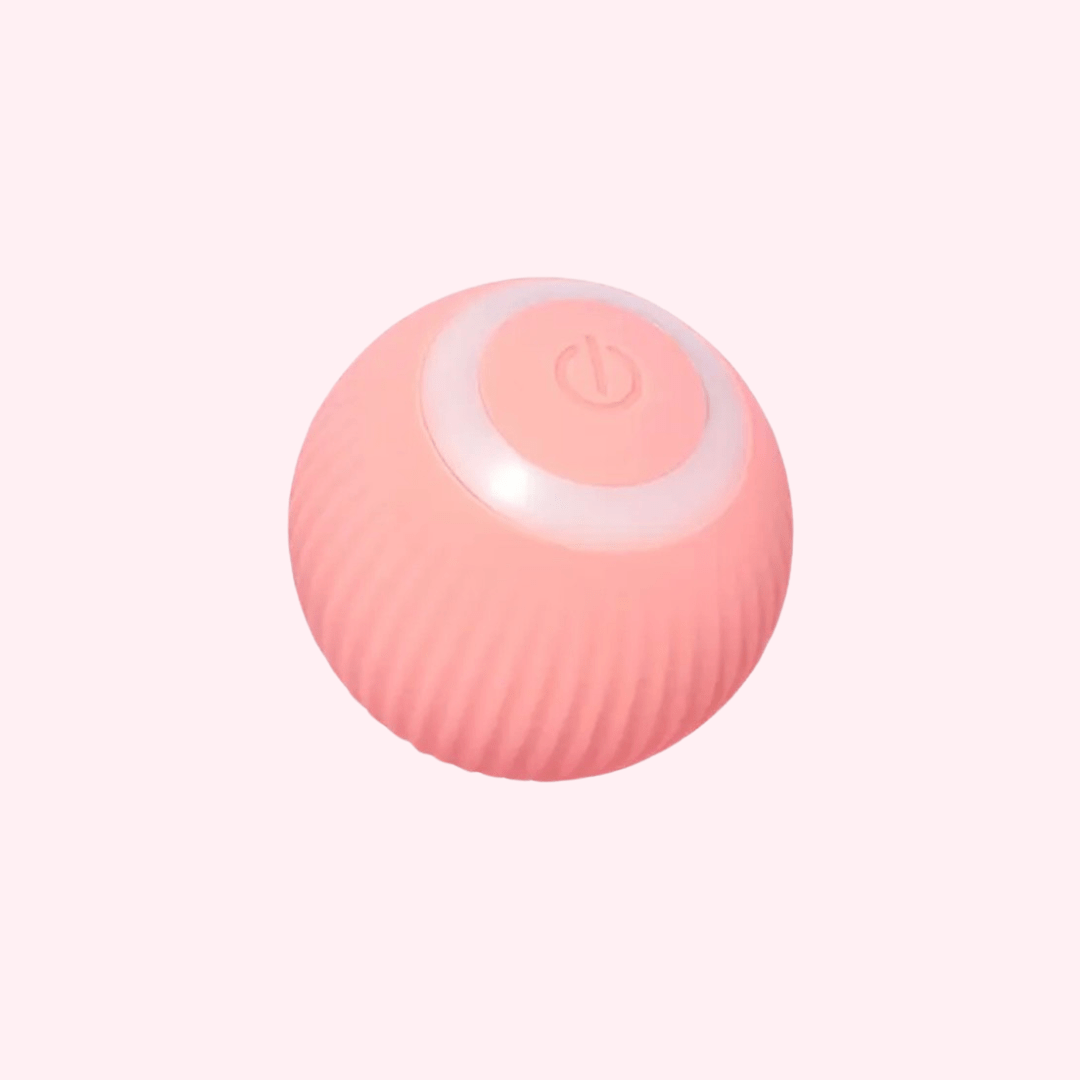 Loopy | Interactive Smart Cat Ball - 