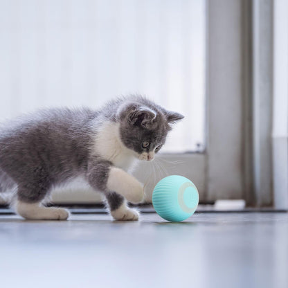 Loopy | Interactive Smart Cat Ball - 