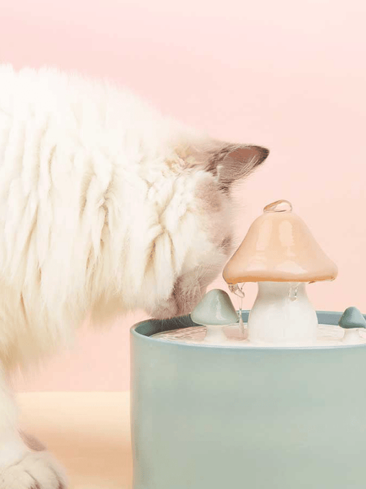 Mello | Water Dispenser - 