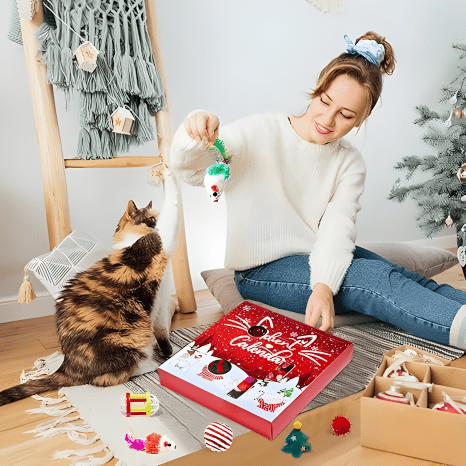 Meowy Christmas Days | Advent Calendar - 