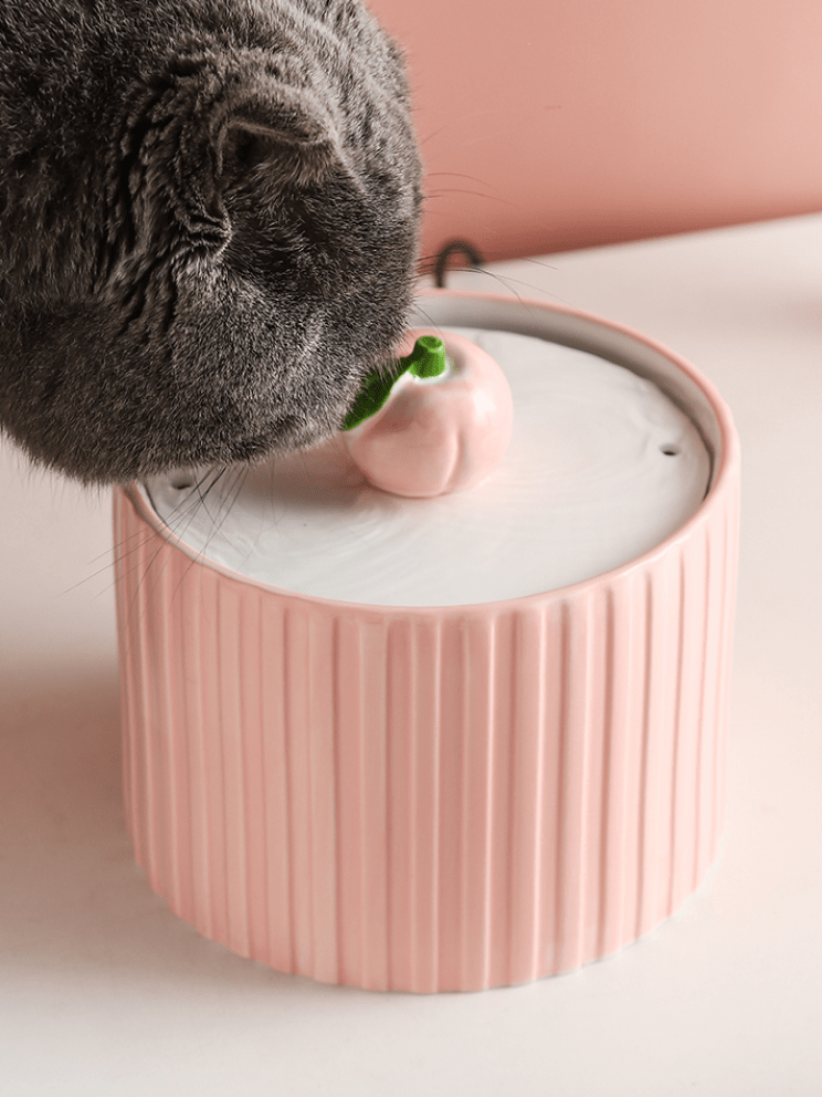 PeachyPaws | Peach Water Dispenser - 