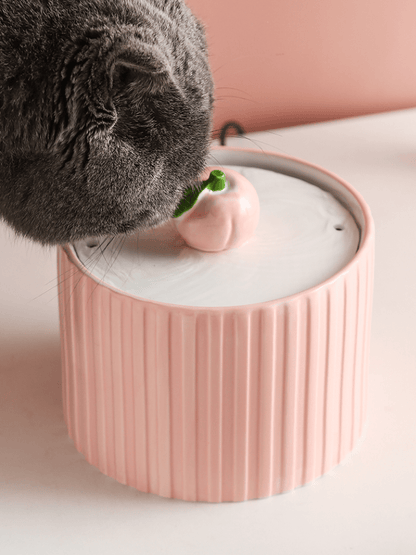 PeachyPaws | Peach Water Dispenser - 