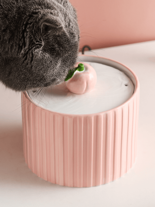PeachyPaws | Peach Water Dispenser - 
