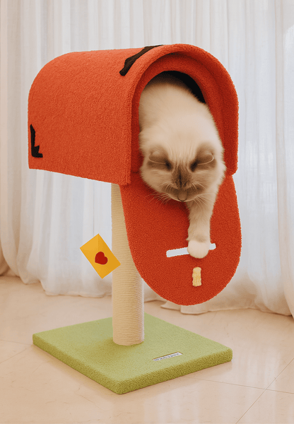 Postman | Cat House - 