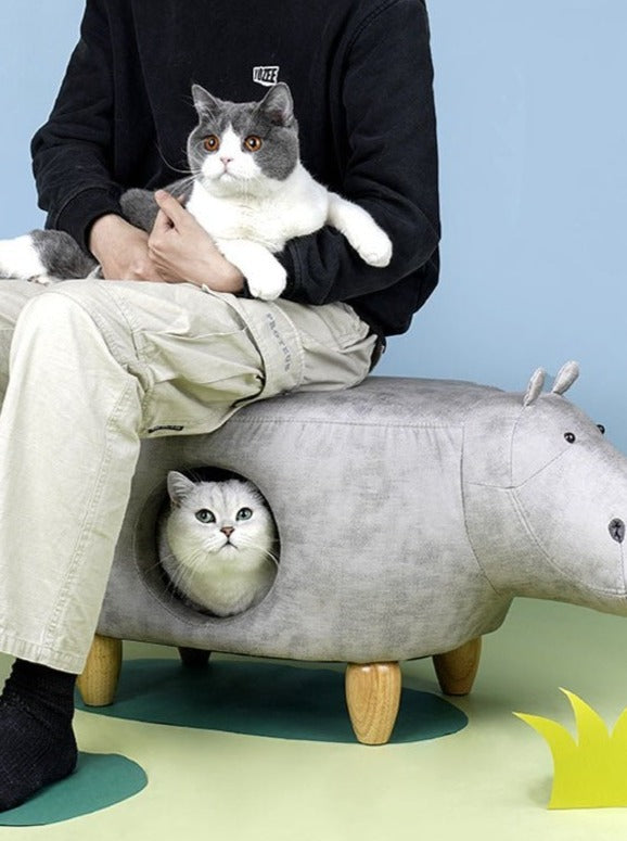 Animal type cat house