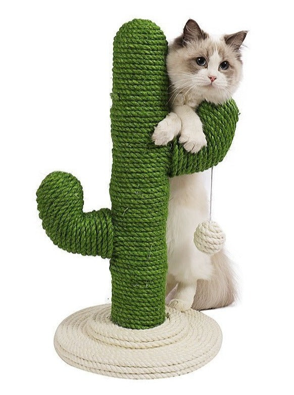 Cactus Nail Sharpener – Fun Cat Scratcher with Swaying Toy