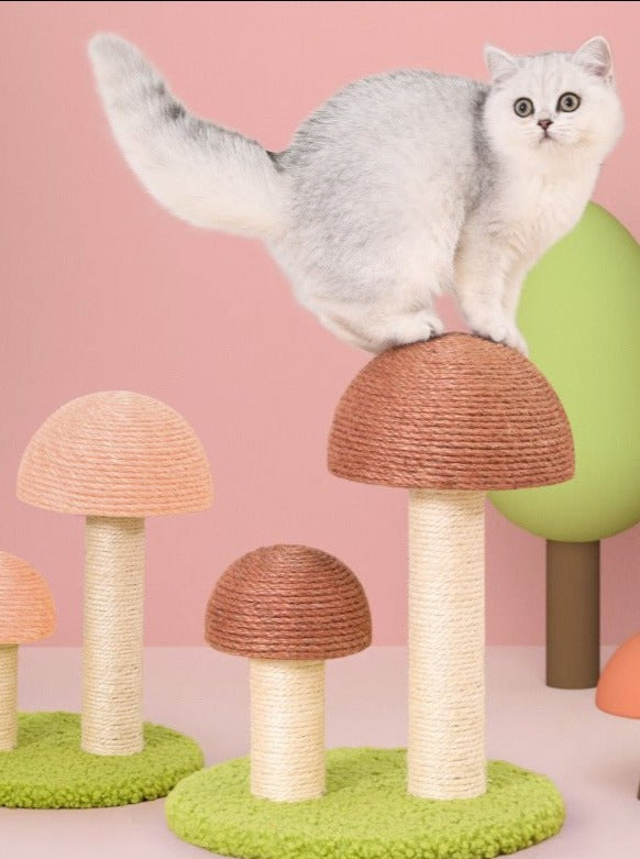 Mushroom Play Scratcher – A Playful Touch of Nature