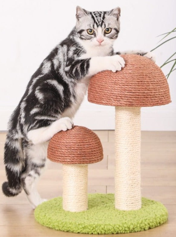 Mushroom Play Scratcher – A Playful Touch of Nature