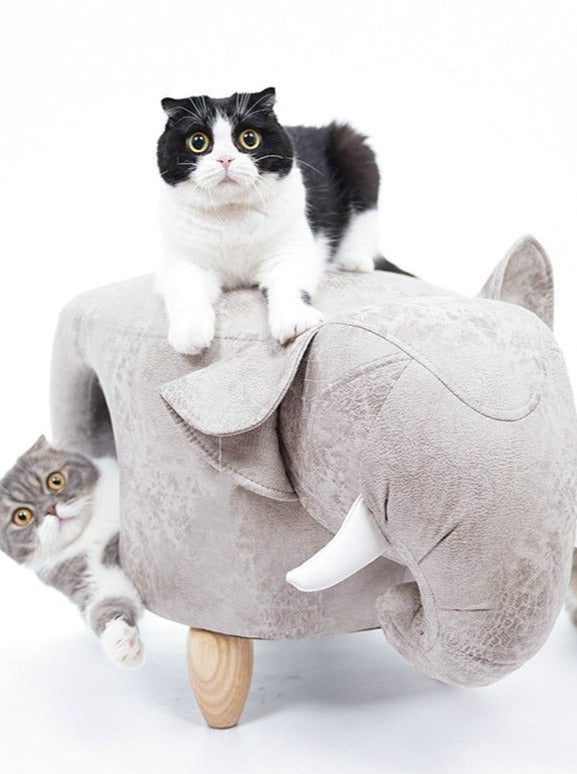 Animal type cat house