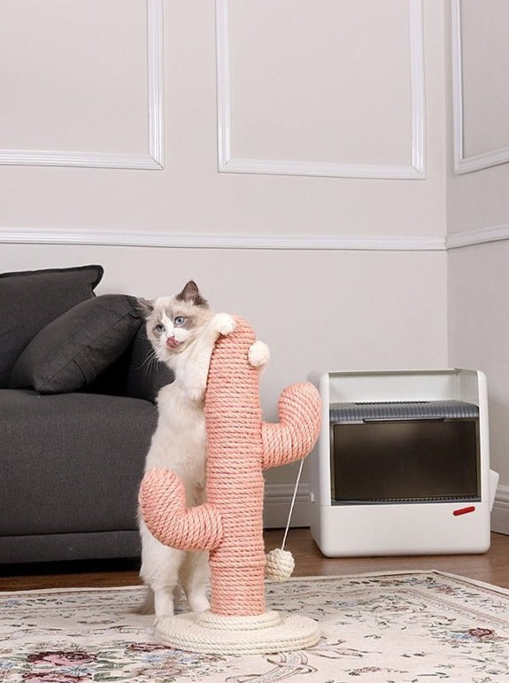 Cactus Nail Sharpener – Fun Cat Scratcher with Swaying Toy