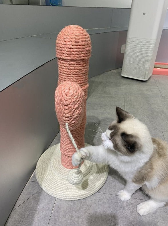Cactus Nail Sharpener – Fun Cat Scratcher with Swaying Toy
