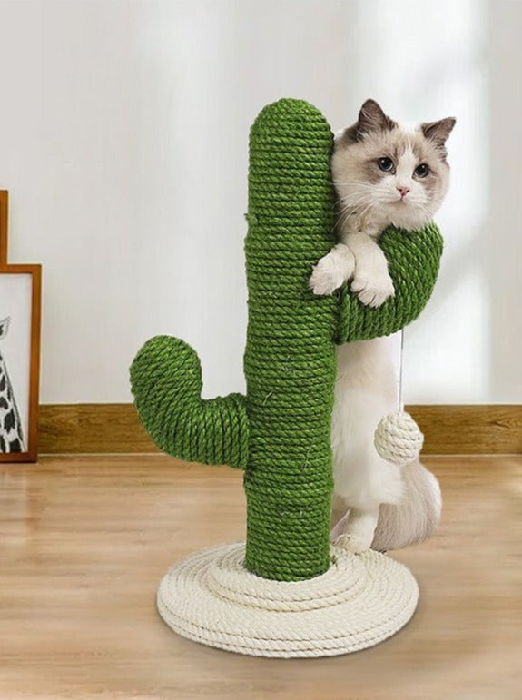 Cactus Nail Sharpener – Fun Cat Scratcher with Swaying Toy