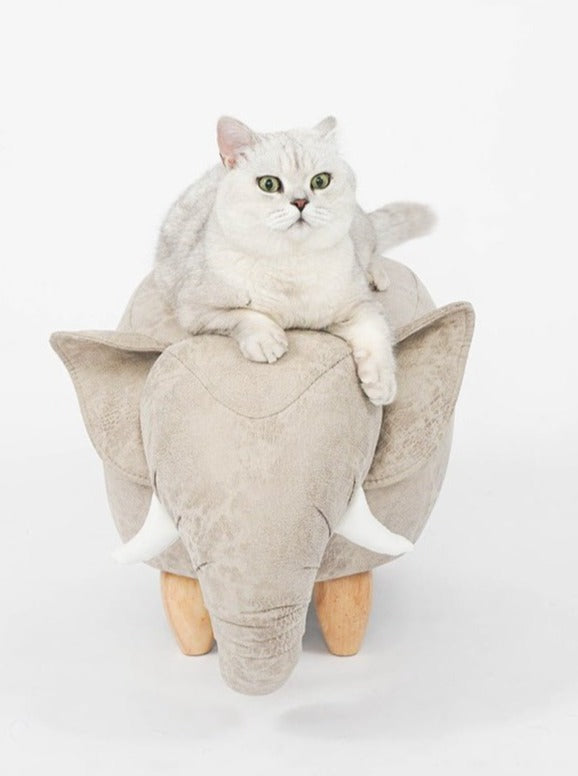 Animal type cat house