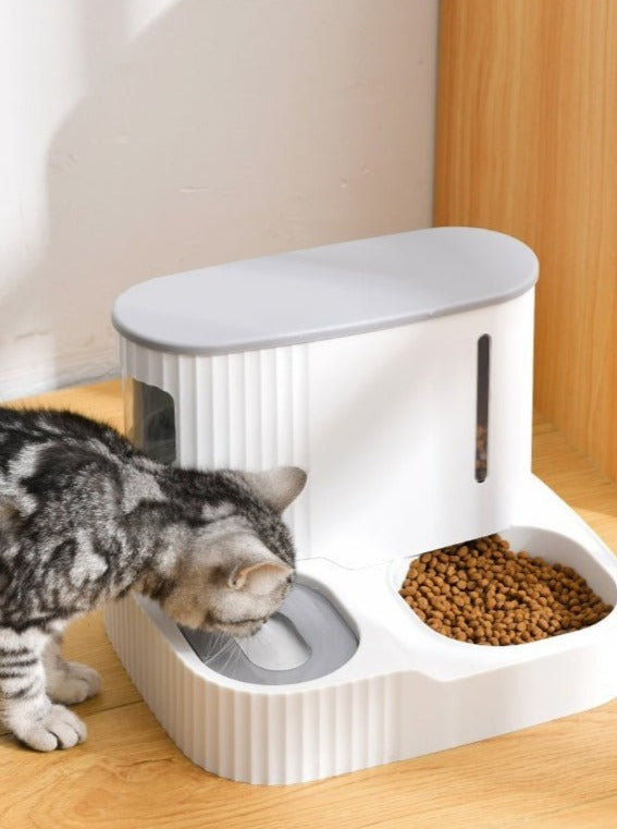 Tummi | All-In-One Food and Water Bowl
