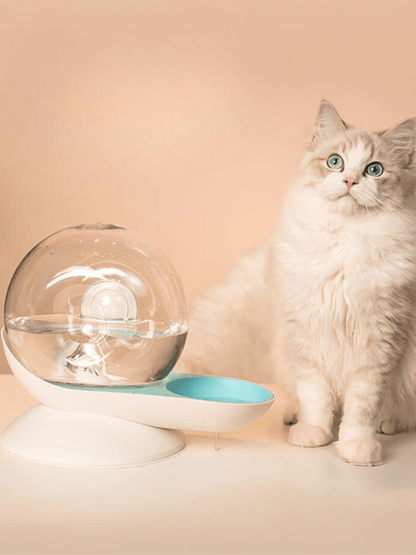 Roundy | Water Dispenser - 