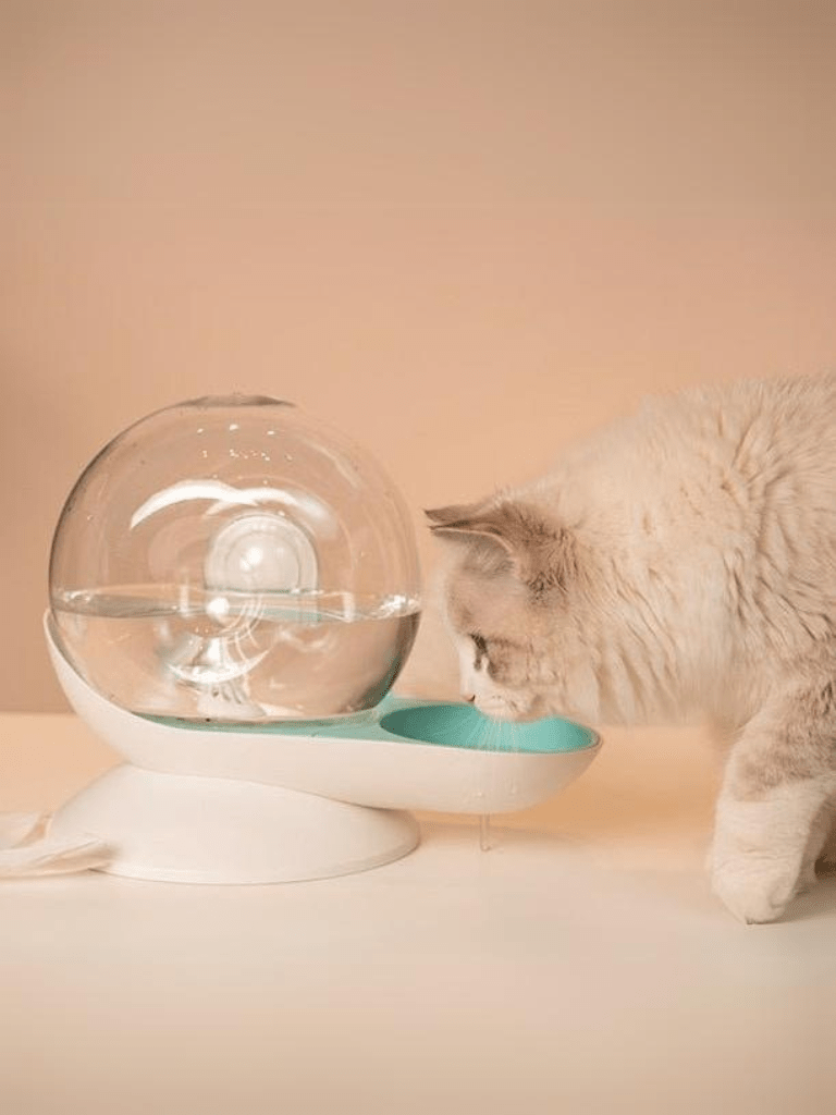 Roundy | Water Dispenser - 