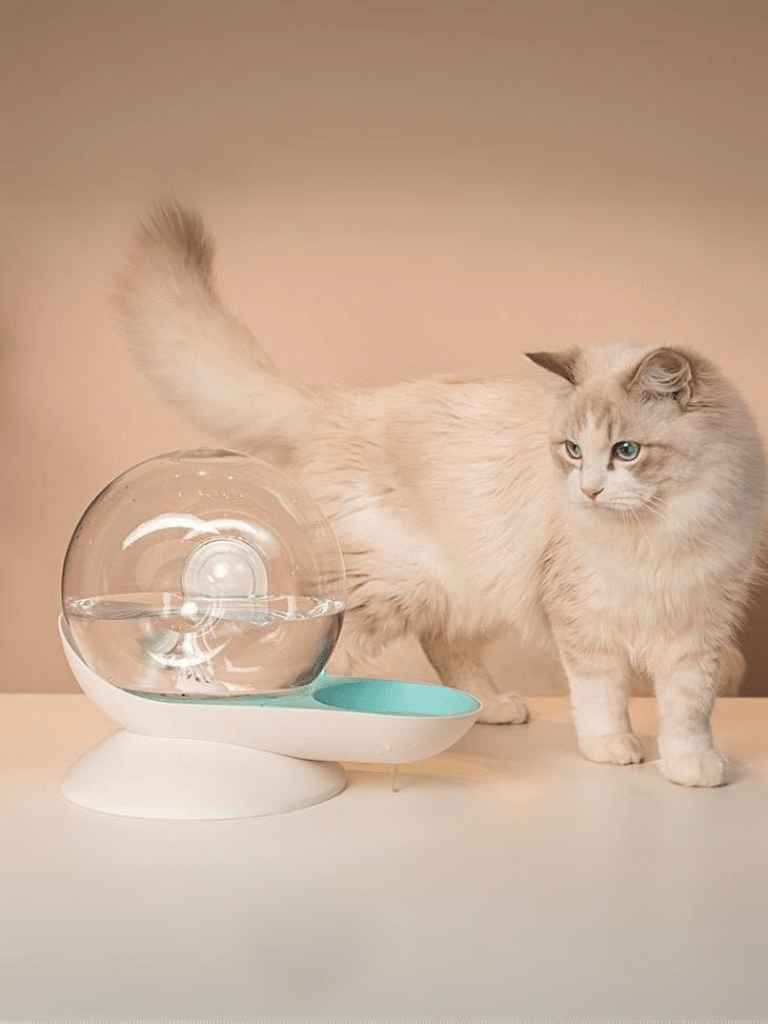 Roundy | Water Dispenser - 
