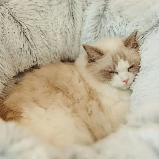 SnuggleTunnel | Cat Bed - 