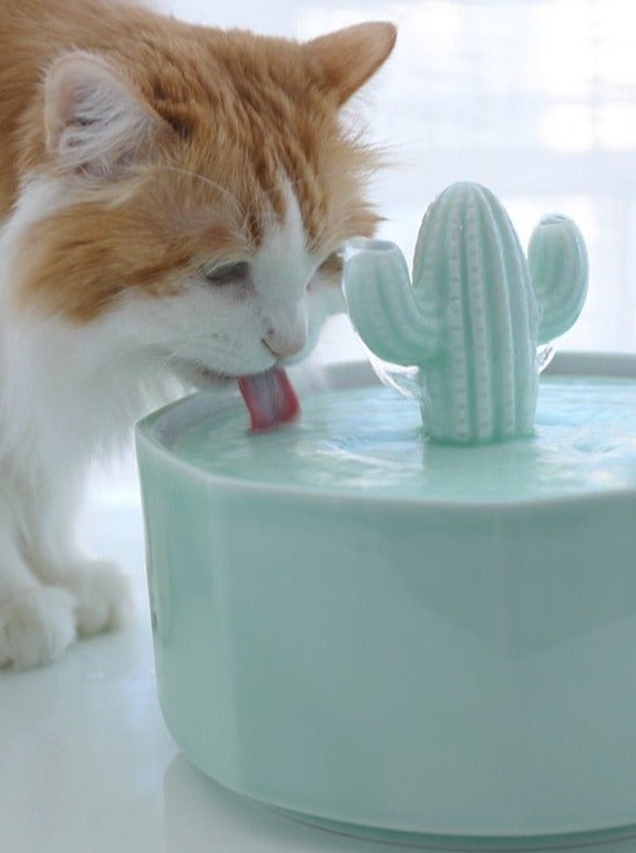AriZona | Super Water Dispenser